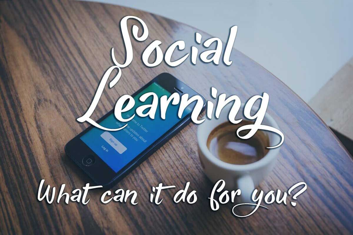 What Makes Social Learning so Interesting?